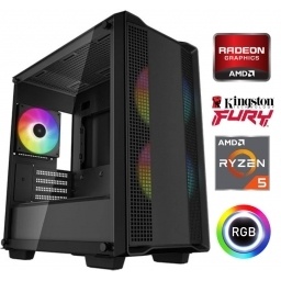 Equipo Gamer Ryzen 5 4600G, 16GB, SSD 480GB, Grficos Radeon